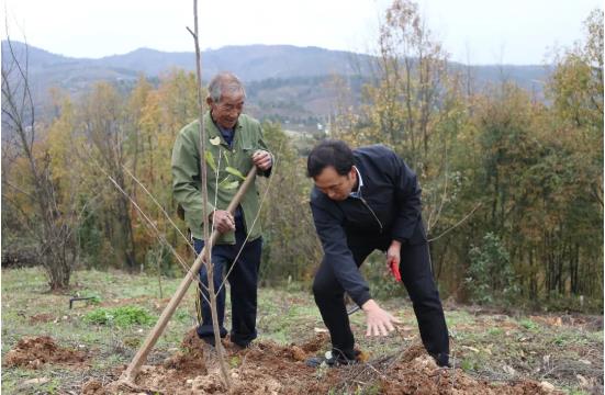 陜西西鄉(xiāng)周永明：劍指電商 “櫻桃大王”的致富路